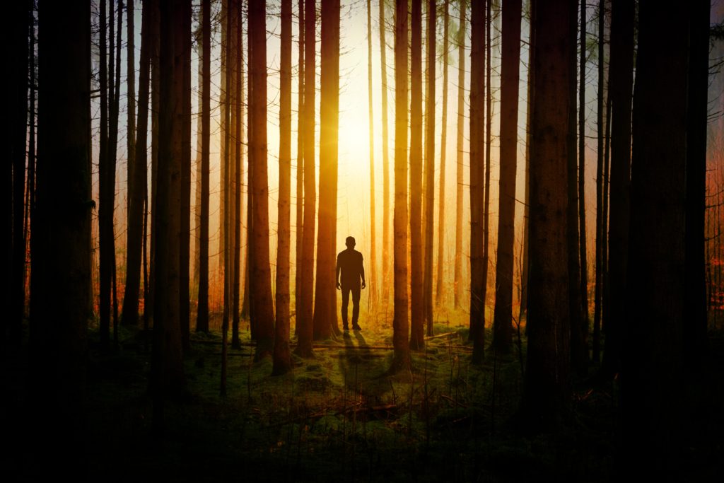 photo of man in woods at sunset