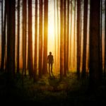 photo of man in woods at sunset